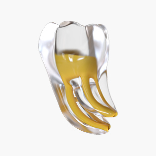 3D Tooth